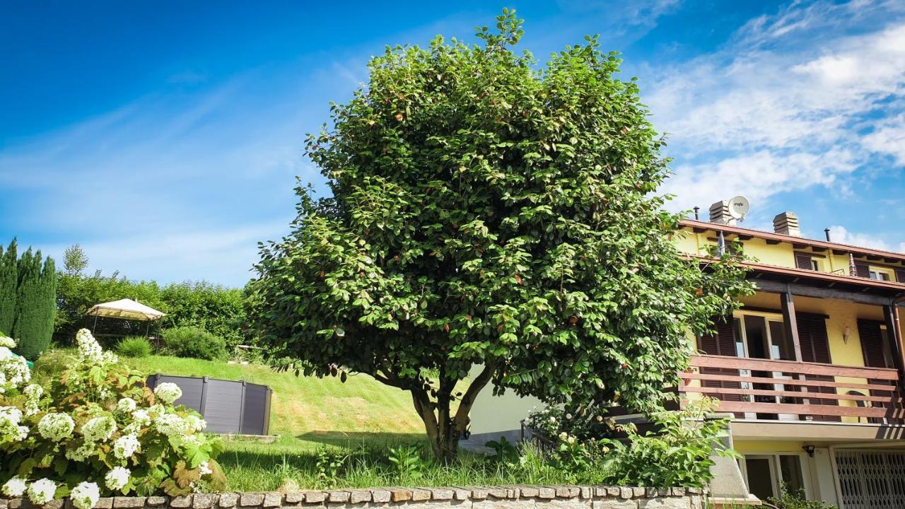 Nebbiuno Gardenpark Soleil 빌라 외부 사진